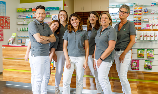 Das Team der Pluwig Apotheke in Pluwig steht in der Apotheke vor dem Tresen. Sie tragen grau Shirts mit dem Logo der Apotheke.